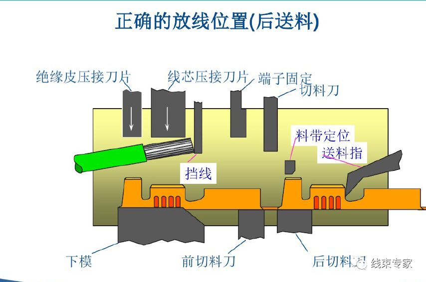 qw38.jpg