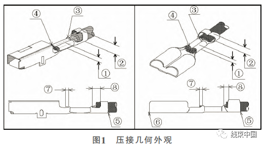 qw1.jpg