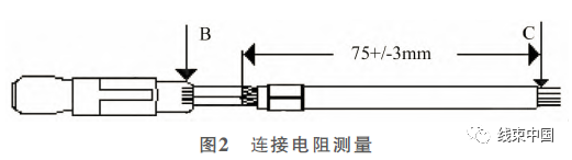 qw5.jpg