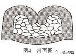 qw8.jpg