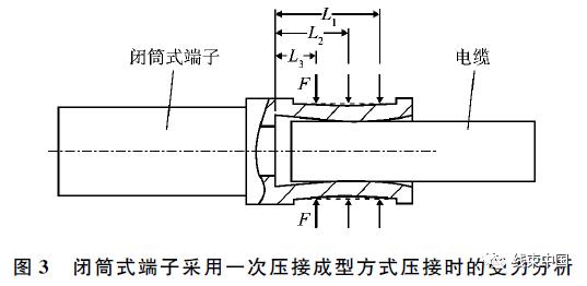 qw5.jpg