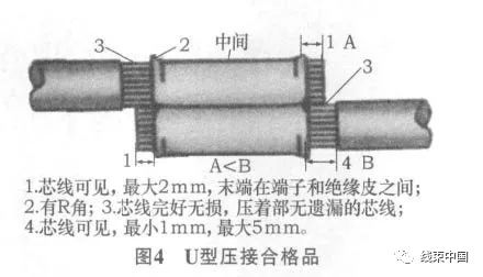 qw7.jpg